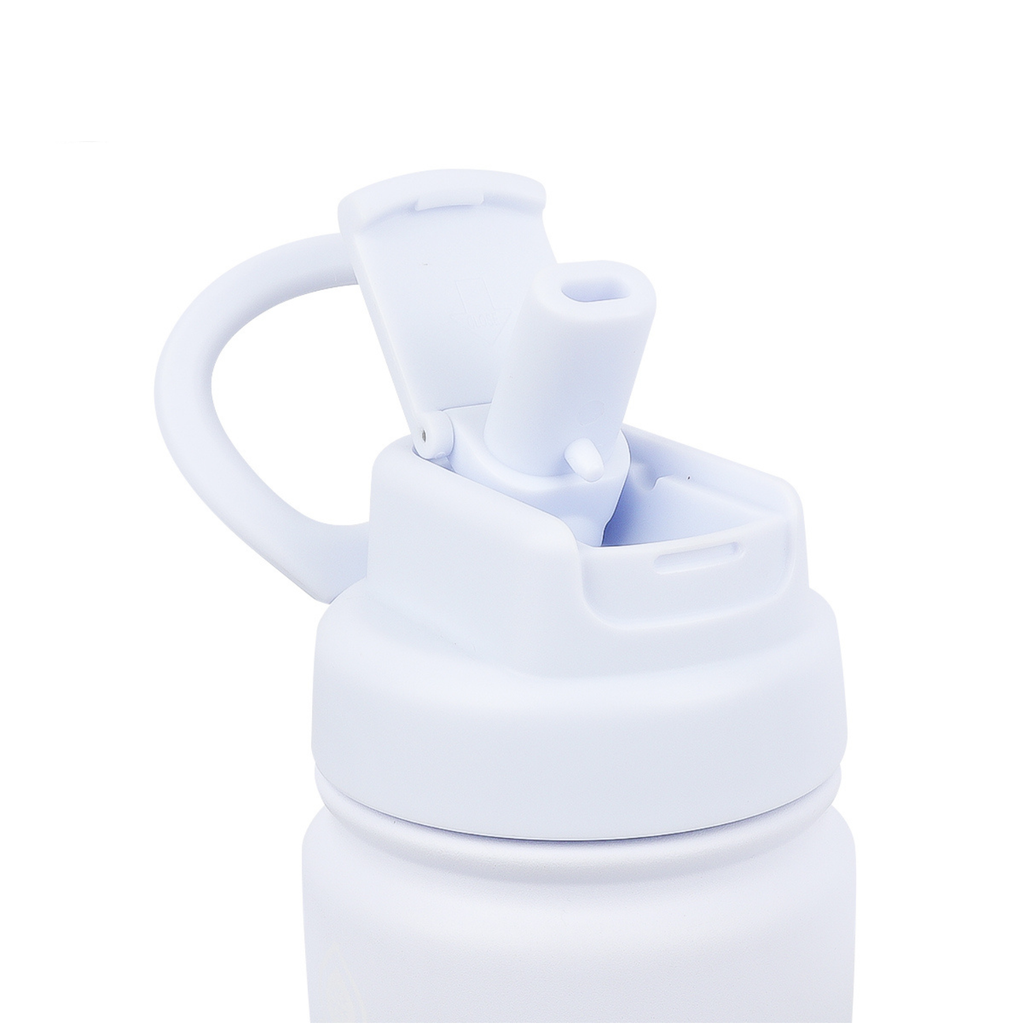 Dream Flipsip 650ml (22oz) Frozen Lake